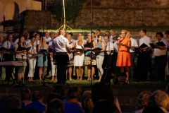 Serenade 2015 – Bild 22