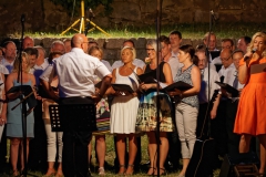 Serenade 2015 – Bild 24